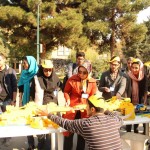 کارگاه پل و معرفی لگوی آموزشی در دانشگاه تهران